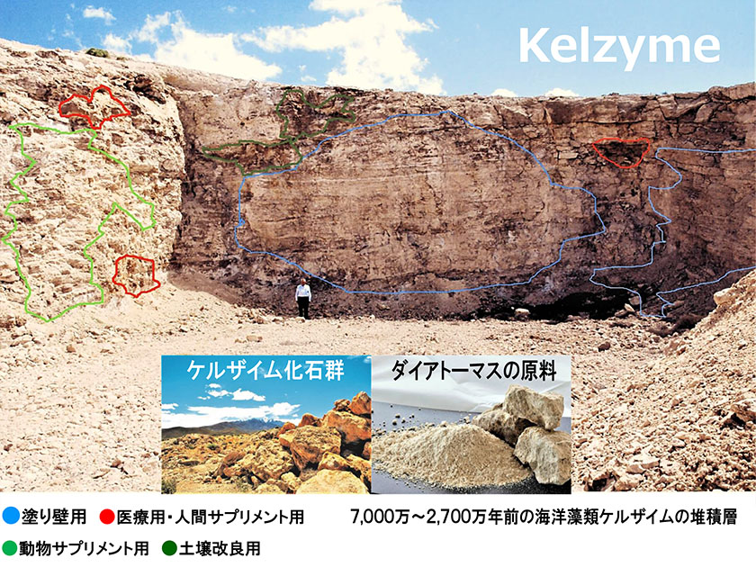 7,000万～2,700万年前の海洋藻類ケルザイム（昆布）の推積層